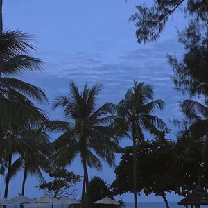 久久久久青草线焦综合
